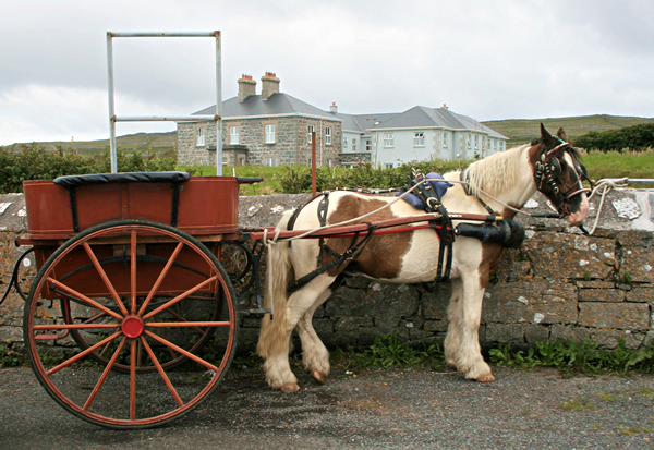 ireland_2008 1841