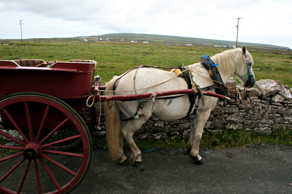 ireland_2008 1843